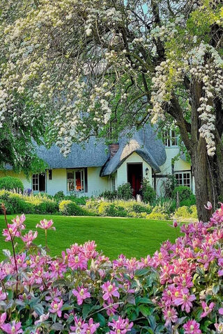 Charming Countryside Retreat in Great Britain 🌸🏡