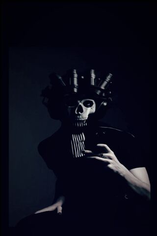 Dark Elegance: The Skul..
