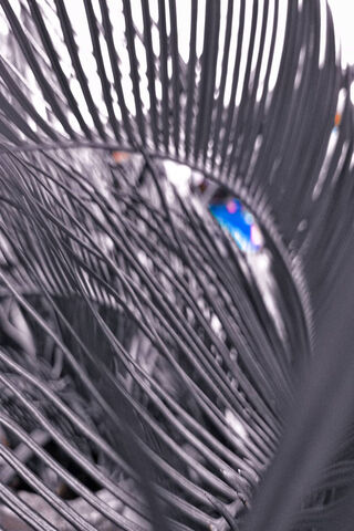Intricate Patterns of N..