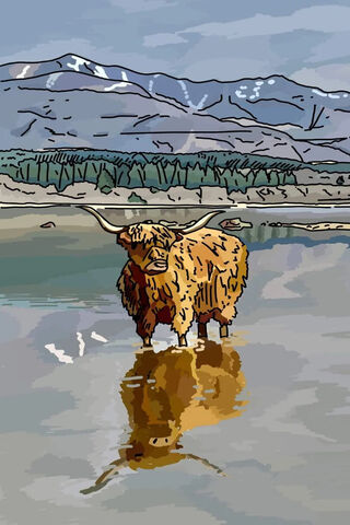 HIGHLAND COW