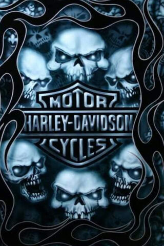 Skull and Steel: Harley..