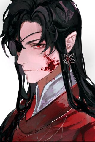 The Enigmatic Hua Cheng..