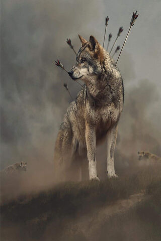The Resilient Wolf 🐺✨