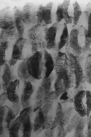 Abstract Monochrome Pat..