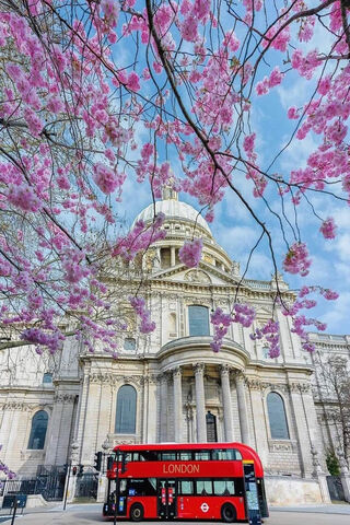 Springtime in London 🌸🚌