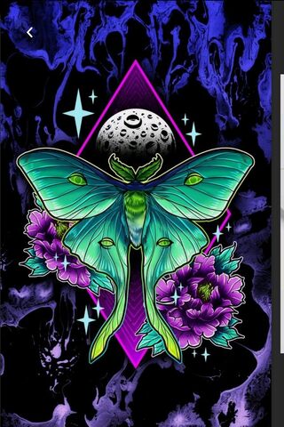Mystical Moth Magic 🦋✨