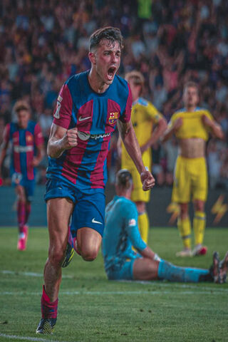 Celebration of Victory!..
