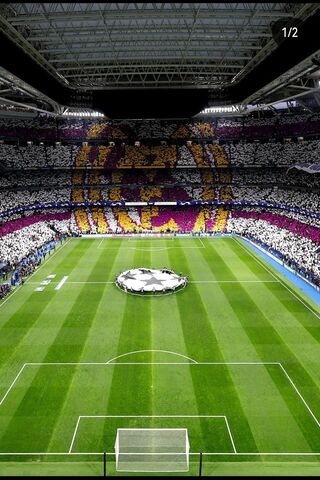 Spectacular Stadium Atmosphere 🌟⚽