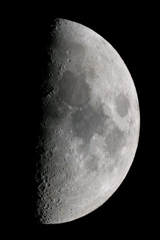 🌙 Half Moon Magic