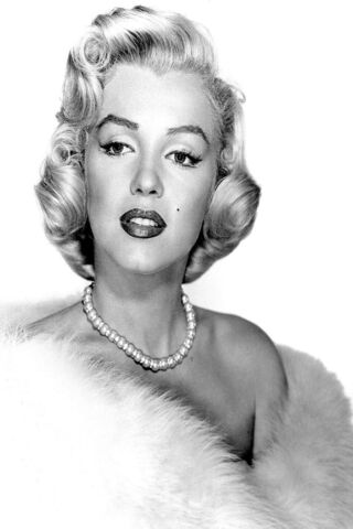 Timeless Glamour ✨