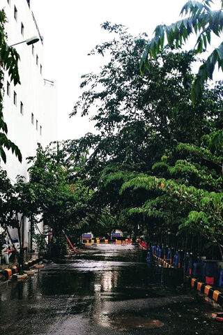 Rainy Day Serenity 🌧️🌿