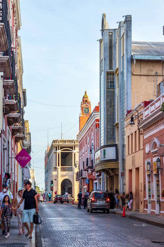 Mérida Calle 62