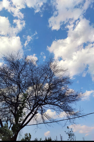 Serene Sky and Silhouet..