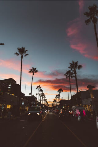 Sunset Vibes 🌅🌴