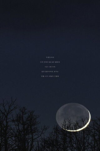 Enchanted Moonlit Night..