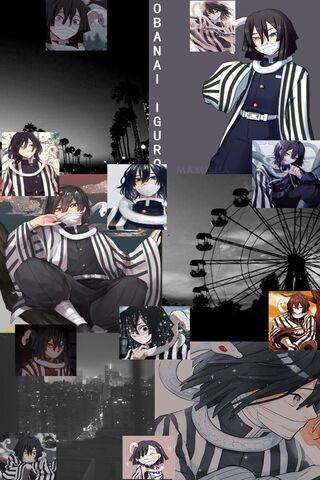 Obanai's World: A Journey Through Shadows and Stripes