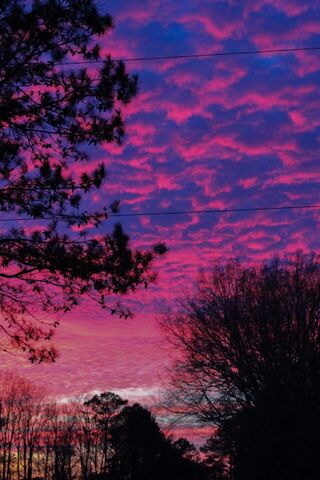 Purple Sunset