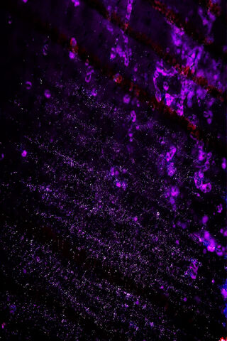 Purple Galaxy