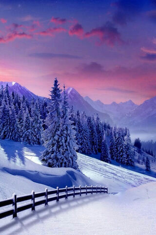 Winter Wonderland 🌨️✨