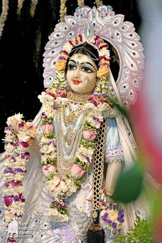 Divine Grace: The Beaut..