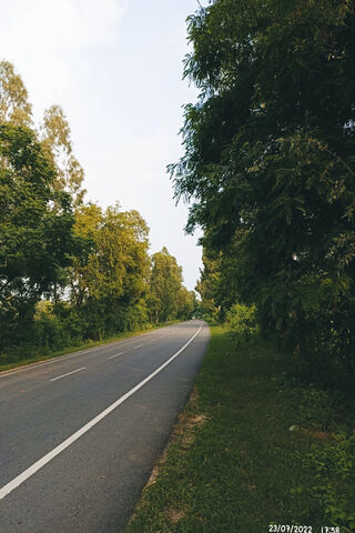 Serene Country Road 🌳🚶‍♂️