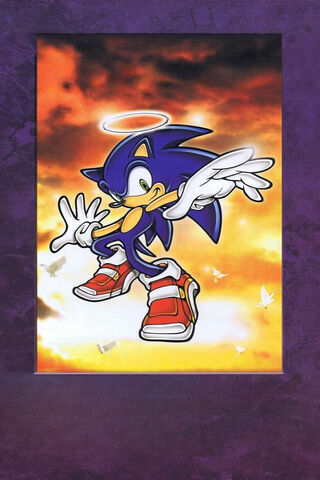 Sonic the Hedgehog: A Heavenly Spin! 🌟