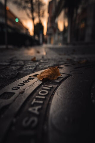 Autumn's Touch 🍂