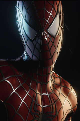 Web-Slinger in the Multiverse 🌌🕷️