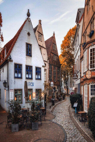 Charming Cobblestone Street in Autumn 🍂🏡