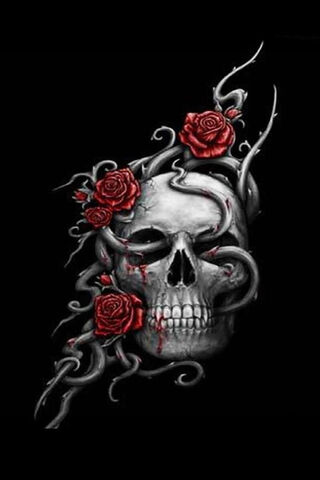 Dark Beauty: Skull and ..