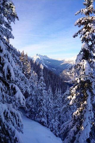 Winter Wonderland ❄️🏔️