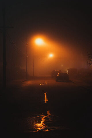 Mysterious Foggy Night