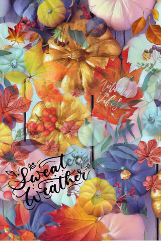 Autumn Vibes 🍂🎃