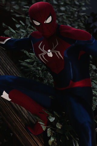 Spider-Man in Action! 🕷️🕸️