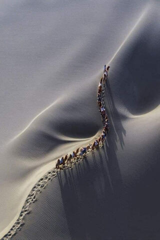 Sahara Desert