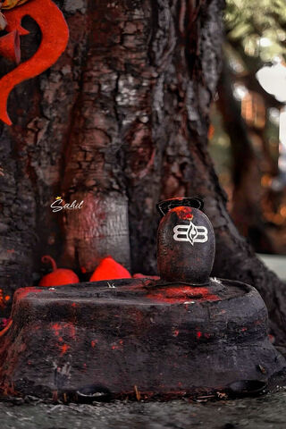 Sacred Offering at the ..