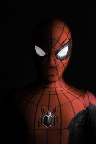 The Mysterious Web-Slin..