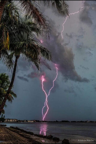 Nature's Electric Dance..