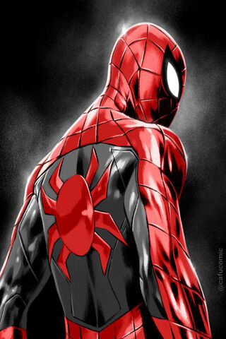 The Amazing Spider-Man ..