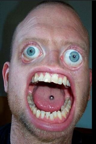 Surreal Face Mashup 🤯
