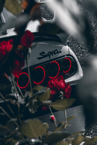 Supra in Bloom 🌹🚗