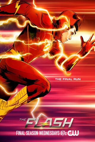 The Flash: The Final Ru..