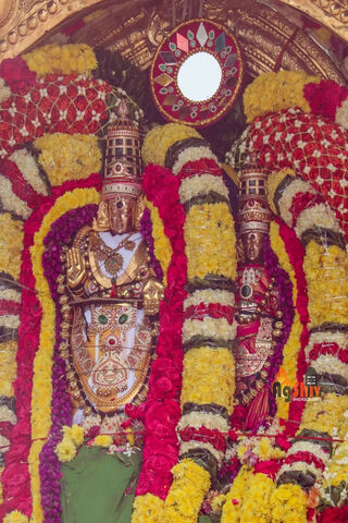 Divine Splendor of Thir..