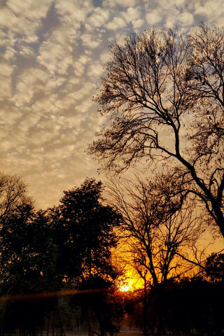 Sunset Serenity 🌅