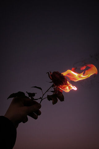 Fiery Elegance: The Bur..