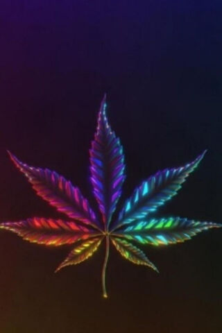 Colorful Cannabis Leaf ..