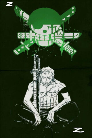 Zoro's Resolve: A Tribu..