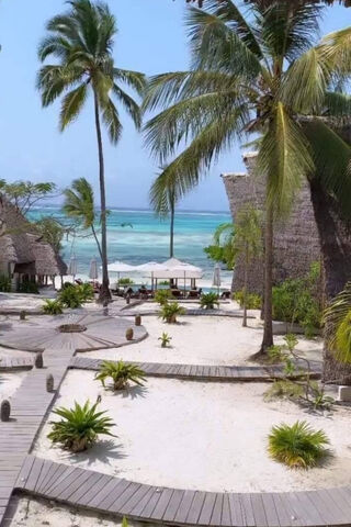 Tropical Paradise Awaits! 🌴🌊