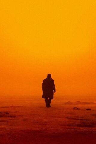 Into the Golden Horizon..