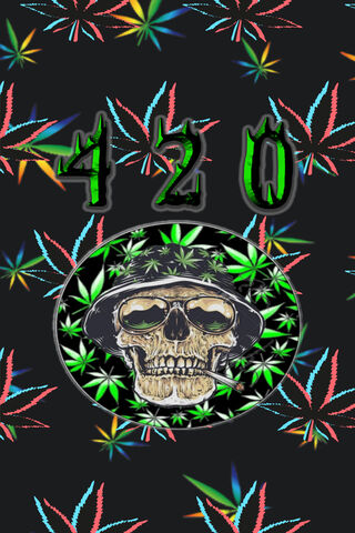 420Life 24